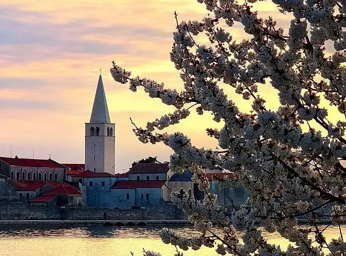 Lejlighed Perla Deluxe