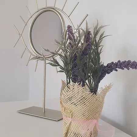 Perla Deluxe بوريتش