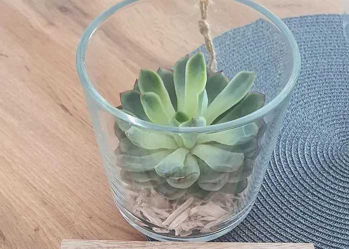 Apartment Perla Deluxe *