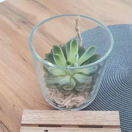 Apartment Perla Deluxe *